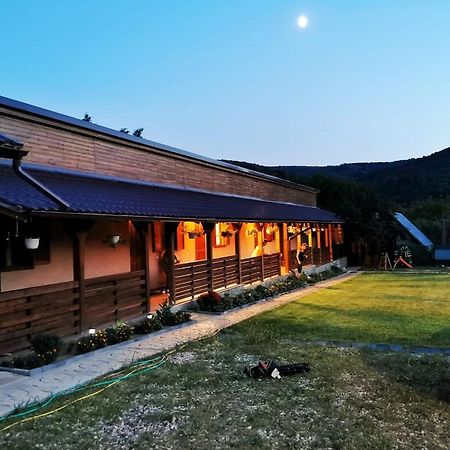 Hostal Casa Borcean 2 Sasca Montană Exterior foto