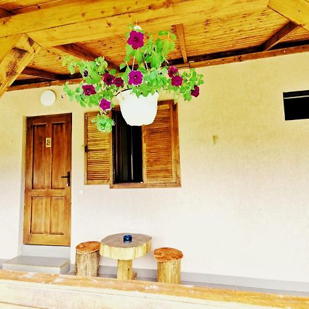 Hostal Casa Borcean 2 Sasca Montană Exterior foto