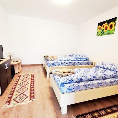 Hostal Casa Borcean 2 Sasca Montană Exterior foto