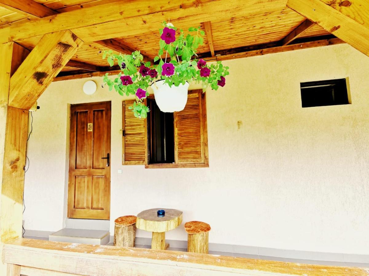 Hostal Casa Borcean 2 Sasca Montană Exterior foto