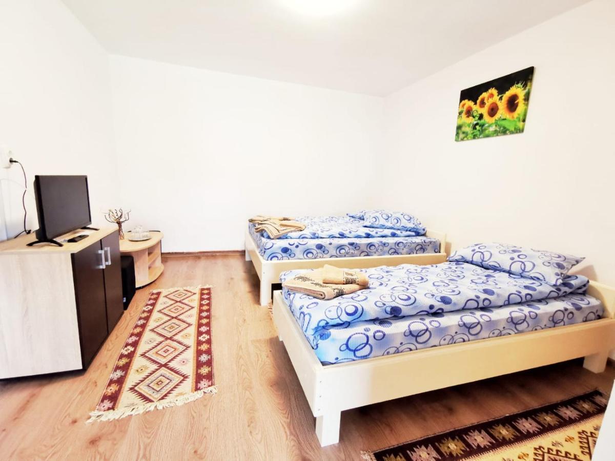 Hostal Casa Borcean 2 Sasca Montană Exterior foto