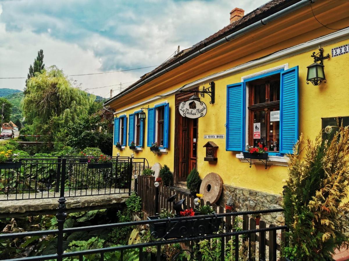 Hostal Casa Borcean 2 Sasca Montană Exterior foto